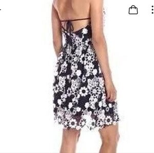 J. O. A  haltered lace mini dress